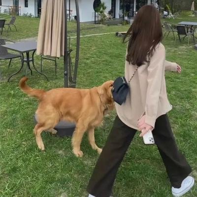 尸咒